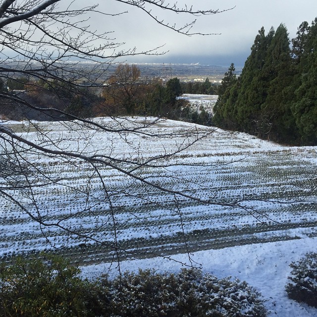 .........まあ、いいか。平地は積もってないし、日差しもあったかい。冬じゃのう。