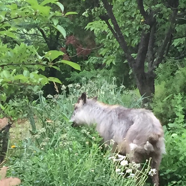 なんか食べてる....