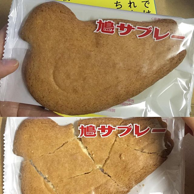 鳩サブレー、どこから食べるか議論てあると思うんですが、私は割ってから食べます。（生産者の方ごめんなさい。