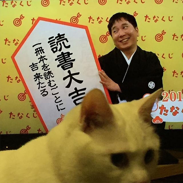 あけおめことよろ。猫が横切った。今年も多分良い一年。