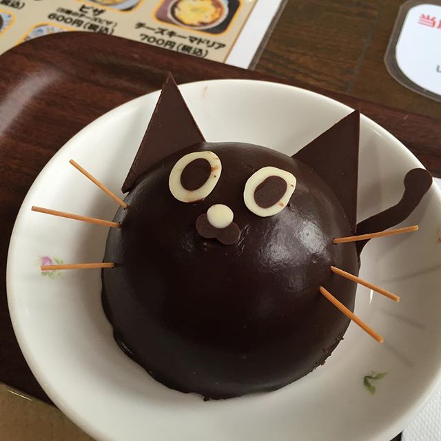 保護猫カフェに行ってみた。