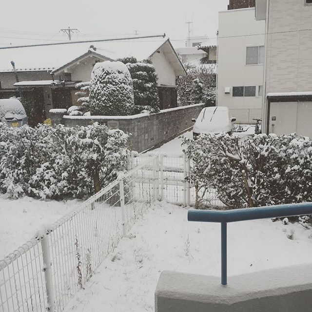 雪が積もった。この時期に積もるのは珍しいって。でも、ニュースで「大雪情報」っていうのは、違和感ながです。。。