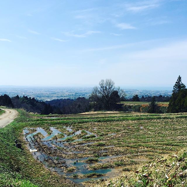 ひっっさしぶりの東福寺野。