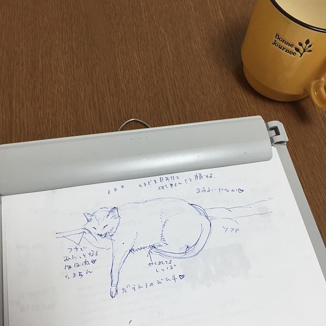 アイデアに行き詰まりつつ次の裏紙をめくったら、いつだったか自分が描いたココさんの落書きが出てきた。まあ画才のないことこの上なしw所詮こんなもんや、おまえは。あんまり根を詰め過ぎず、肩の力を抜きなよ。なんかそんな風に言われてる気がした。