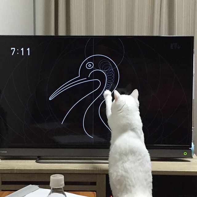 ほぼ猫（固定タイトル）